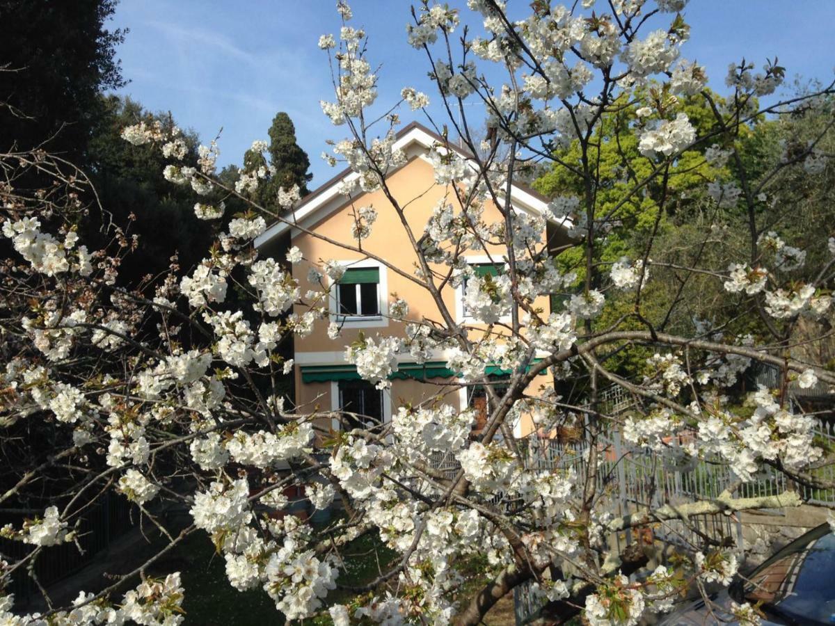 B&B La Rosa Segreta Genova Kültér fotó